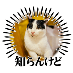 senmon.inc_20250920232307 – Stickers LINE | LINE STORE