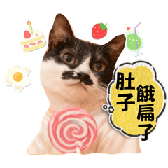 臭屁哥日常對話