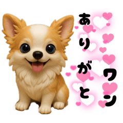ち、ふわふわ♡Chihuahuaチワワちゃん達♡