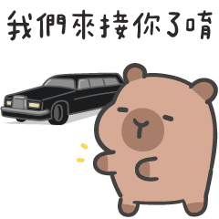 誇誇水豚(´•ω•`) 上車囉!