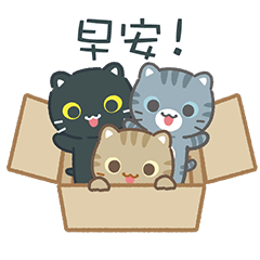 跳出來！三隻小貓咪♪