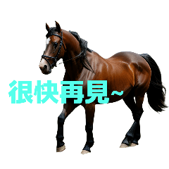 horse C