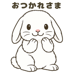 Adorable Floppy Bunny