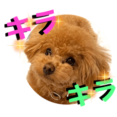 Kinaco_20250921094711