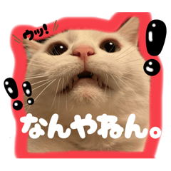 orange_20250921142259