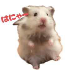 Mochi_20250921200005