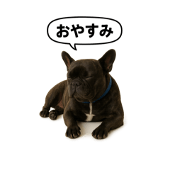 hayato_20250921152317