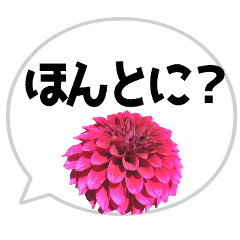 *Flower* Dahlia & Speech bubble