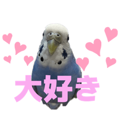 marumo_20250921160516