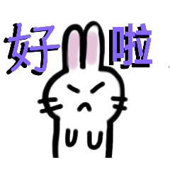 貓咪 狗狗 日常