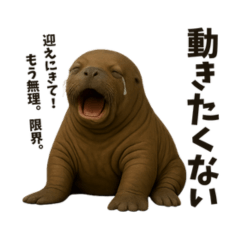 Mama Seals Daily Talk