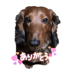 kaho_20250921210622