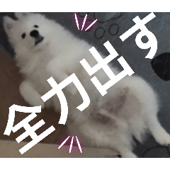 meimei_20250921205505