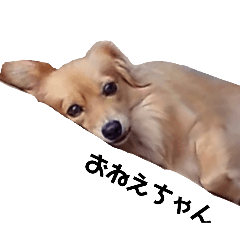 m_20250921230647