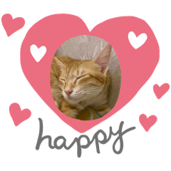 小橘橘的生活日常