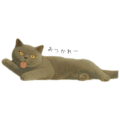 chisa_20250921215728