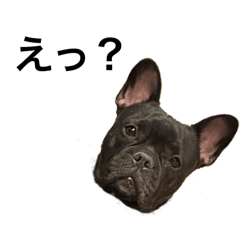 Issaku_20250922000528