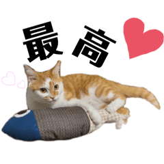 eriko_20250922000408