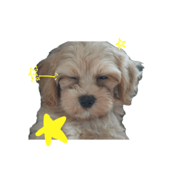 MATSU_20250922000947