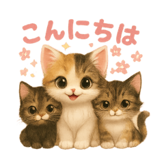 Lovely Cats57