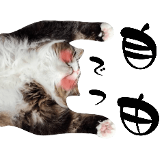 remomi_20250922122404