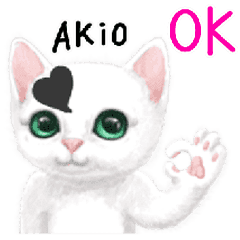 Akio's name Sticker