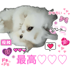 HANA_20250922135739