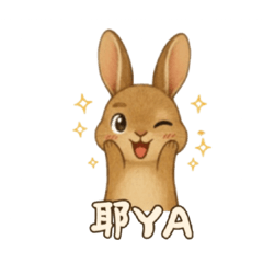 可愛小兔日常語