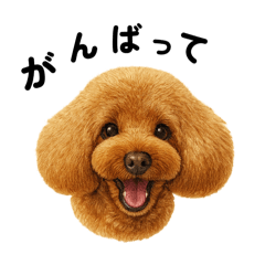 しーぽんの愛犬ピート