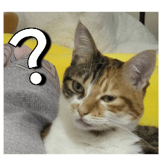 珍奶寶貝媽媽愛