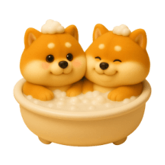 twins shibainu