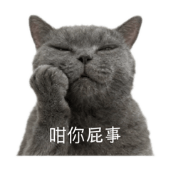 咪咪不嘻嘻