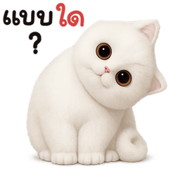 แมวขาว อ้วน