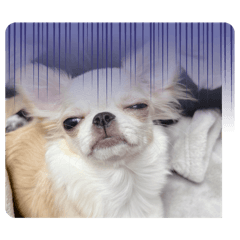 sonson_20250922193708