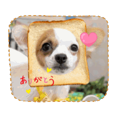 むぎスタイル1227