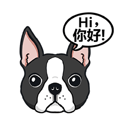 波士頓㹴說聲Hi你好！