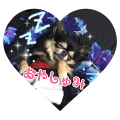 Mina's CINNAMON