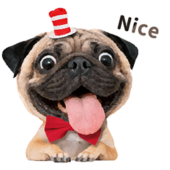 百變巴哥-巴吉-日常對話v2（英文版）