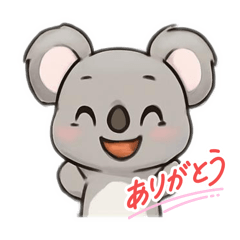 koara_20250922155547