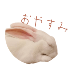 sakura_20250922155655