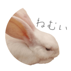 sakura_20250922180743