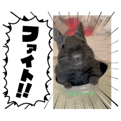 TAKASHI_20250922200821