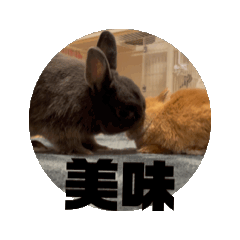 justaway_20250922234957