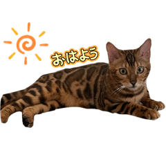 benngaru
