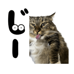 M_20250922185019