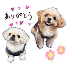 shukuya_20250922184833