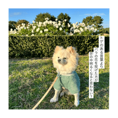 K_20250922210338