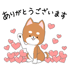 My color 柴犬　赤