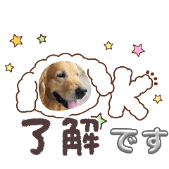 rikutokai_20250922164603