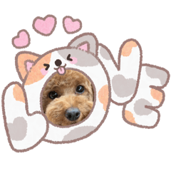 riho_20250922165726